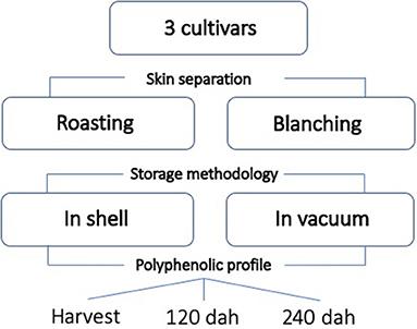 Post-harvest Industrial Processes of Almond (Prunus dulcis L. Mill) in Sicily Influence the Nutraceutical Properties of By-Products at Harvest and During Storage